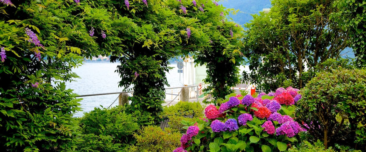 Como que incluye flores, un jardín y vistas de una costa