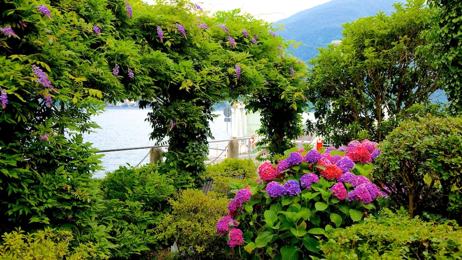 Como showing general coastal views, a park and flowers