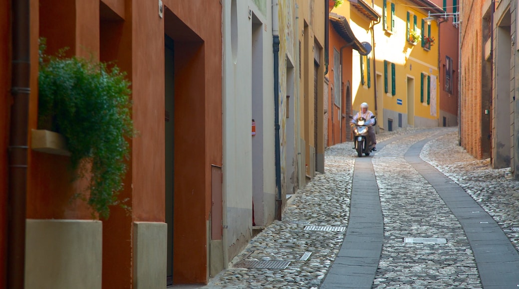 Dozza showing a small town or village