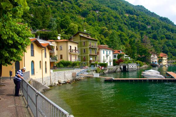 Argegno montrant maison, ville côtière et marina