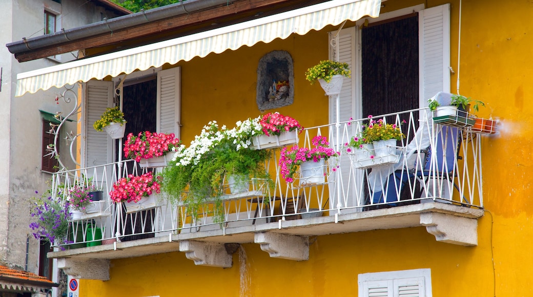 Argegno mostrando uma casa e flores