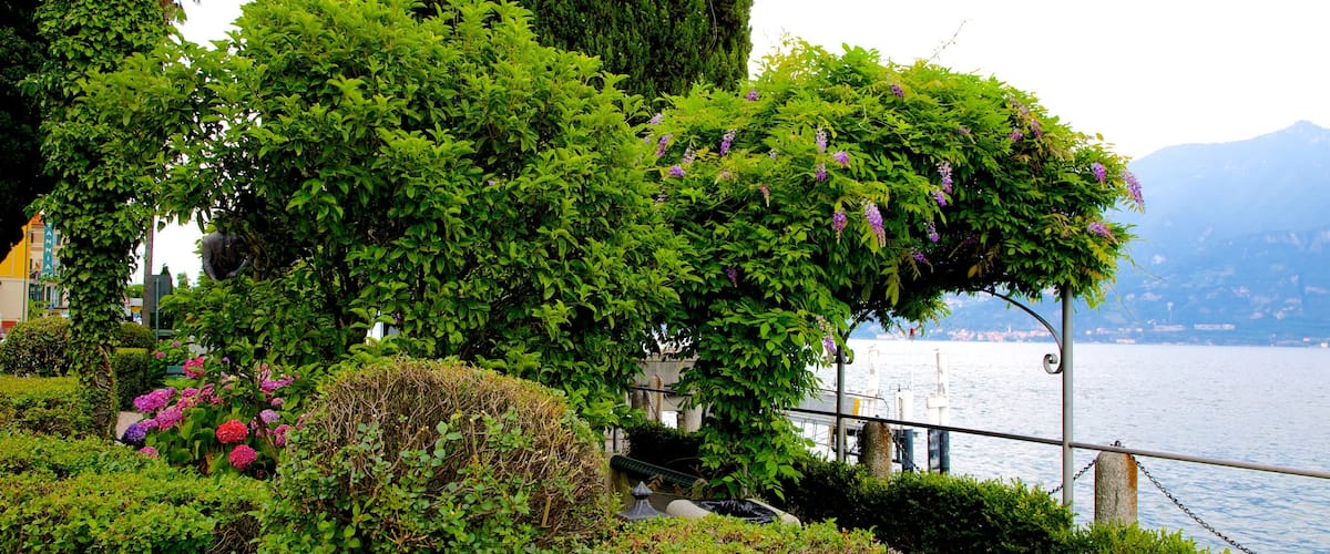 Cadenabbia qui includes jardin