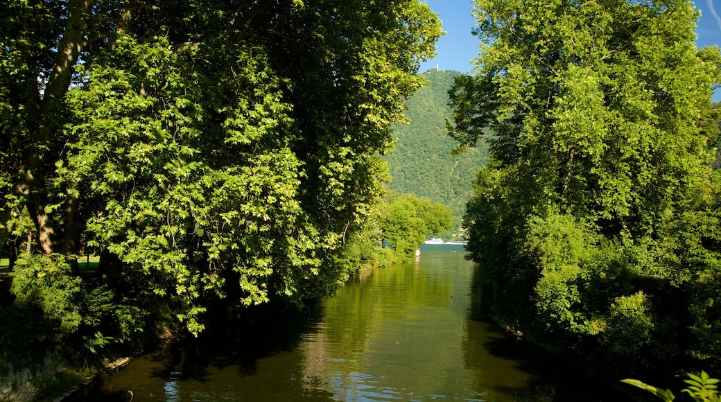 Cernobbio mostrando un río o arroyo, pantano y un lago o espejo de agua