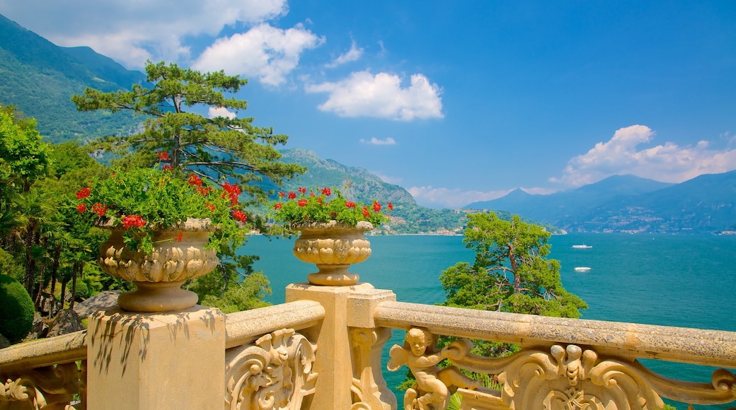 Lago Como ofreciendo vista general a la costa, flores y vista