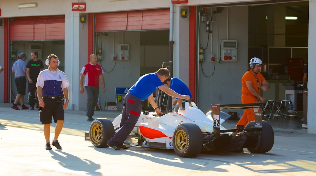 Imola mostrando un evento deportivo y también un grupo pequeño de personas