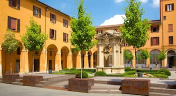 Palazzo Comunale som visar ett torg och historisk arkitektur