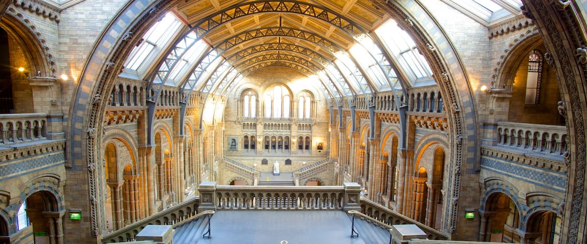 London Natural History Museum mettant en vedette vues intérieures, patrimoine historique et patrimoine architectural