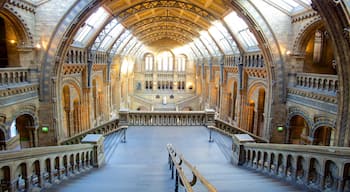 London Natural History Museum og byder på interiør, kulturarvsgenstande og historiske bygningsværker