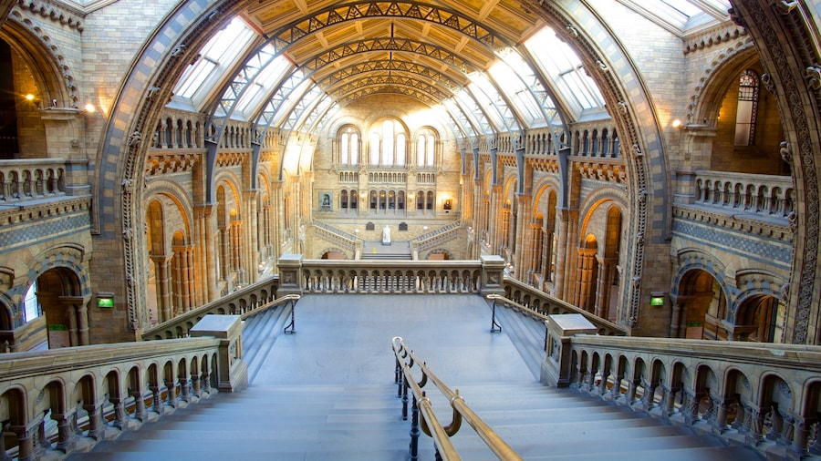 London Natural History Museum featuring heritage elements, heritage architecture and interior views