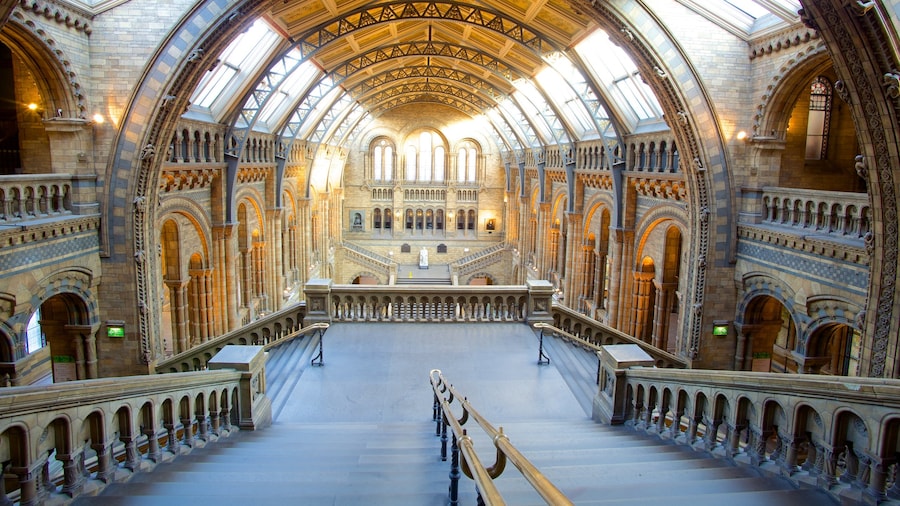 Interior view of the Natural History Museum with grand Victorian architecture.