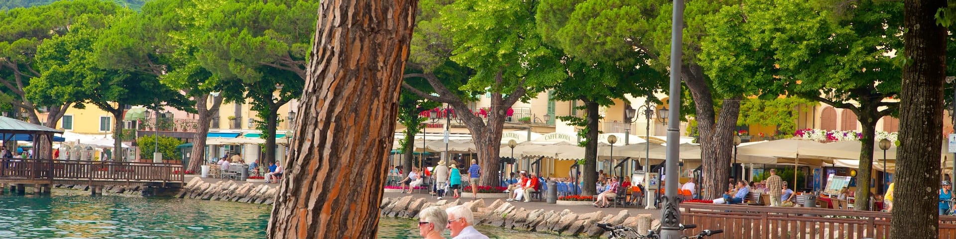 Garda montrant lac ou étang aussi bien que couple
