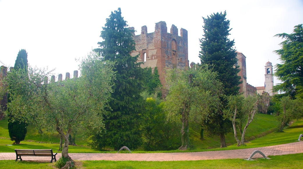 Lazise mostrando un castillo, elementos patrimoniales y un parque