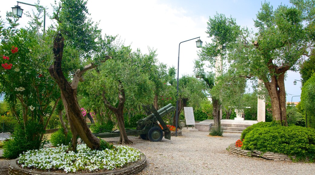 Church of San Pietro showing a park