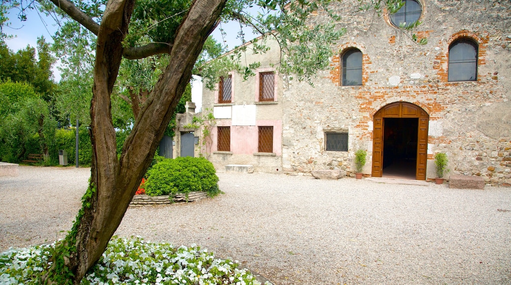 Chiesa di San Pietro caratteristiche di oggetti d\'epoca e chiesa o cattedrale