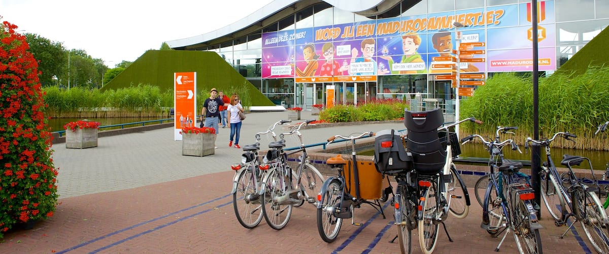South Holland welches beinhaltet moderne Architektur, Park und Blumen