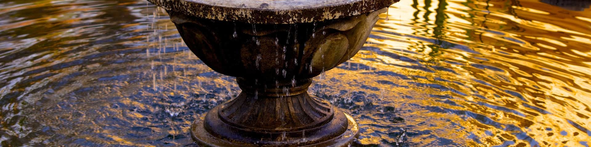 Garden of Dreams showing a fountain and a pond