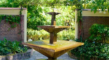 Garden of Dreams showing a fountain