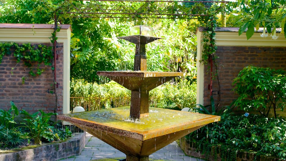 Jardín de los Sueños mostrando una fuente