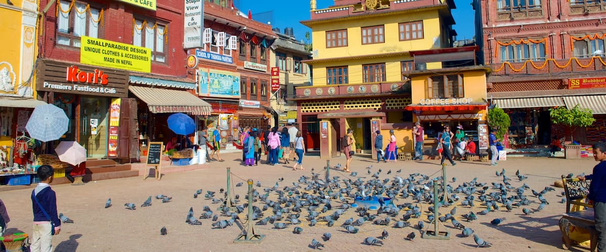 Boudhanath que incluye una ciudad