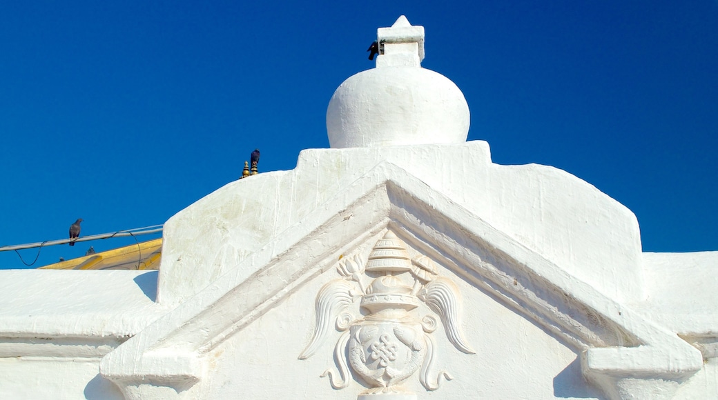 Boudhanath showing religious elements