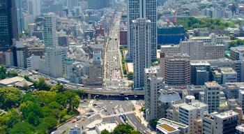 Chiba showing a city