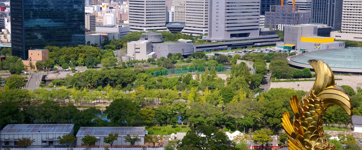 大阪城 表示 都市