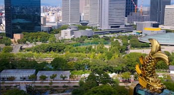 Osaka Castle featuring a city