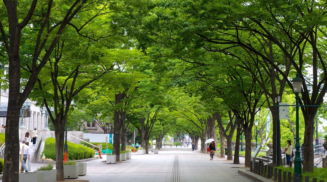 Nakanoshima Park which includes a park