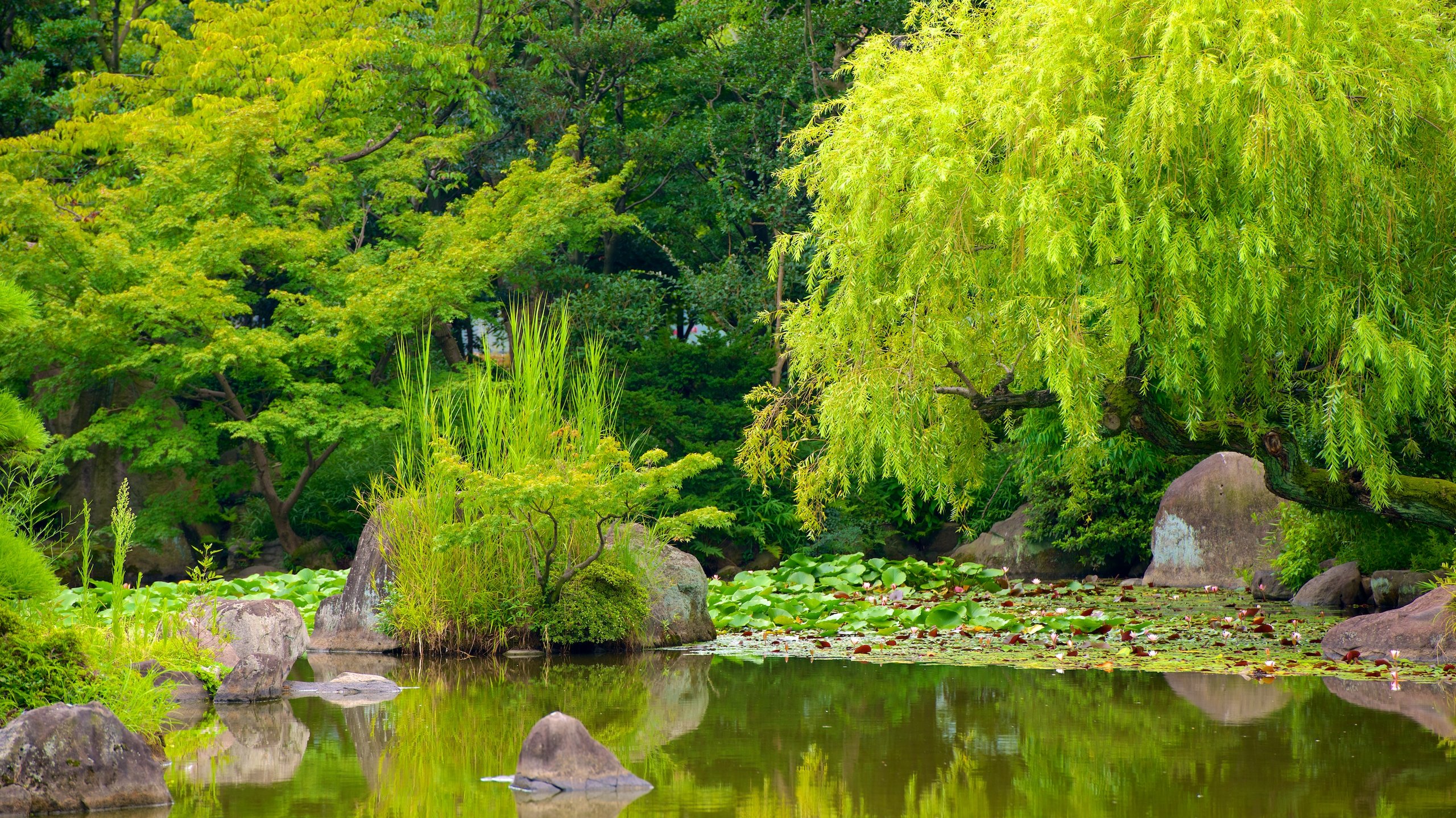 Kita, Osaka, Osaka (préfecture), Japon