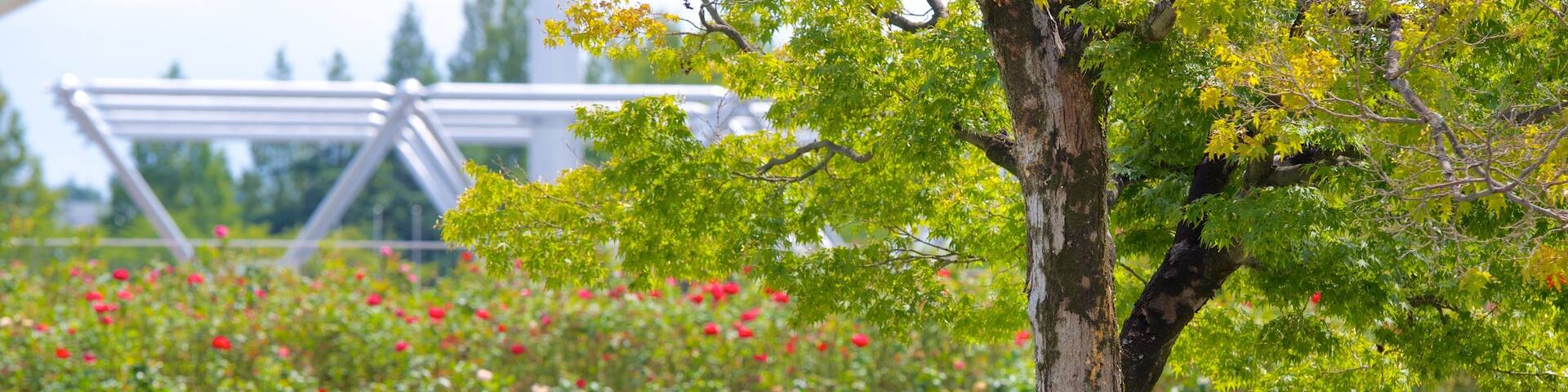 Expo Commemoration Park featuring a park