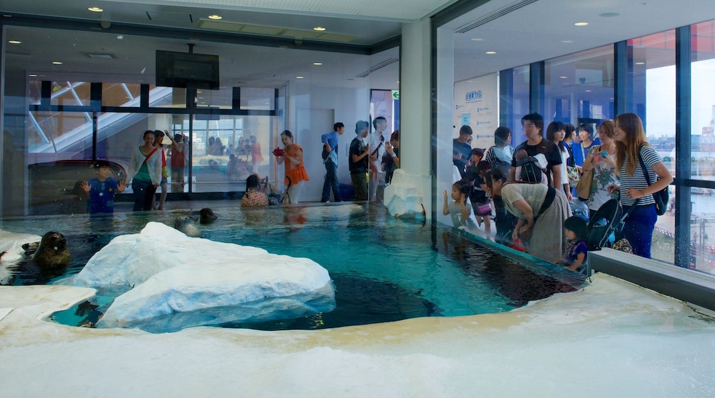 Acquario di Osaka mostrando animali marini e vista interna cosi come un piccolo gruppo di persone