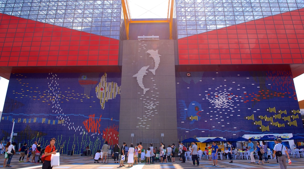 Acuario Osaka Kaiyukan mostrando vida marina y también un grupo pequeño de personas