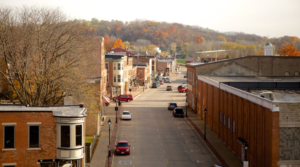 Galena showing a city