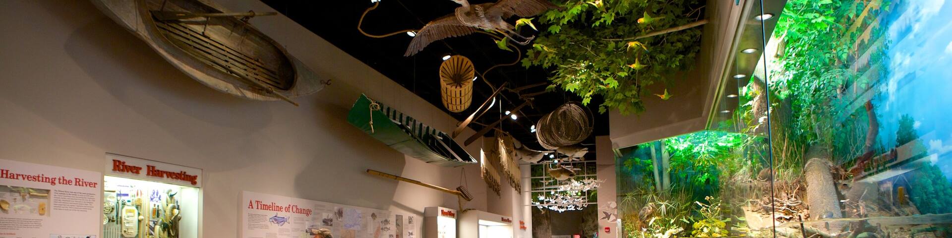 Illinois State Museum showing interior views