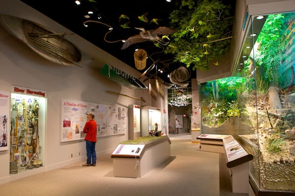 Illinois State Museum mit einem Innenansichten