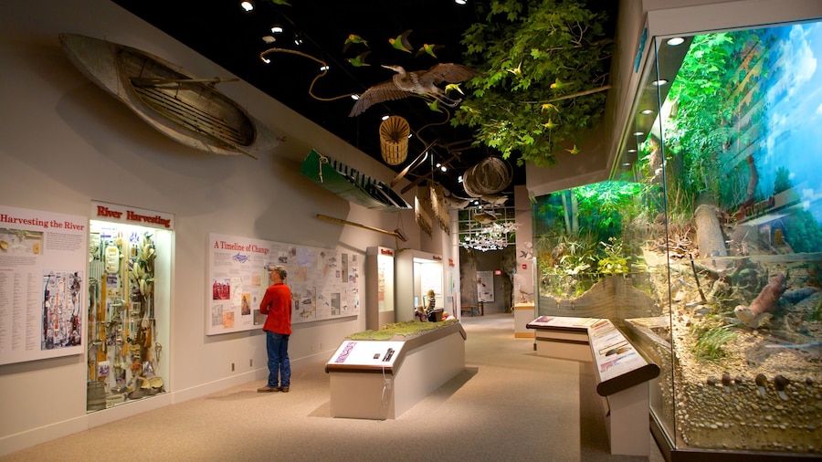 Musée d\'état de l\'Illinois montrant vues intérieures