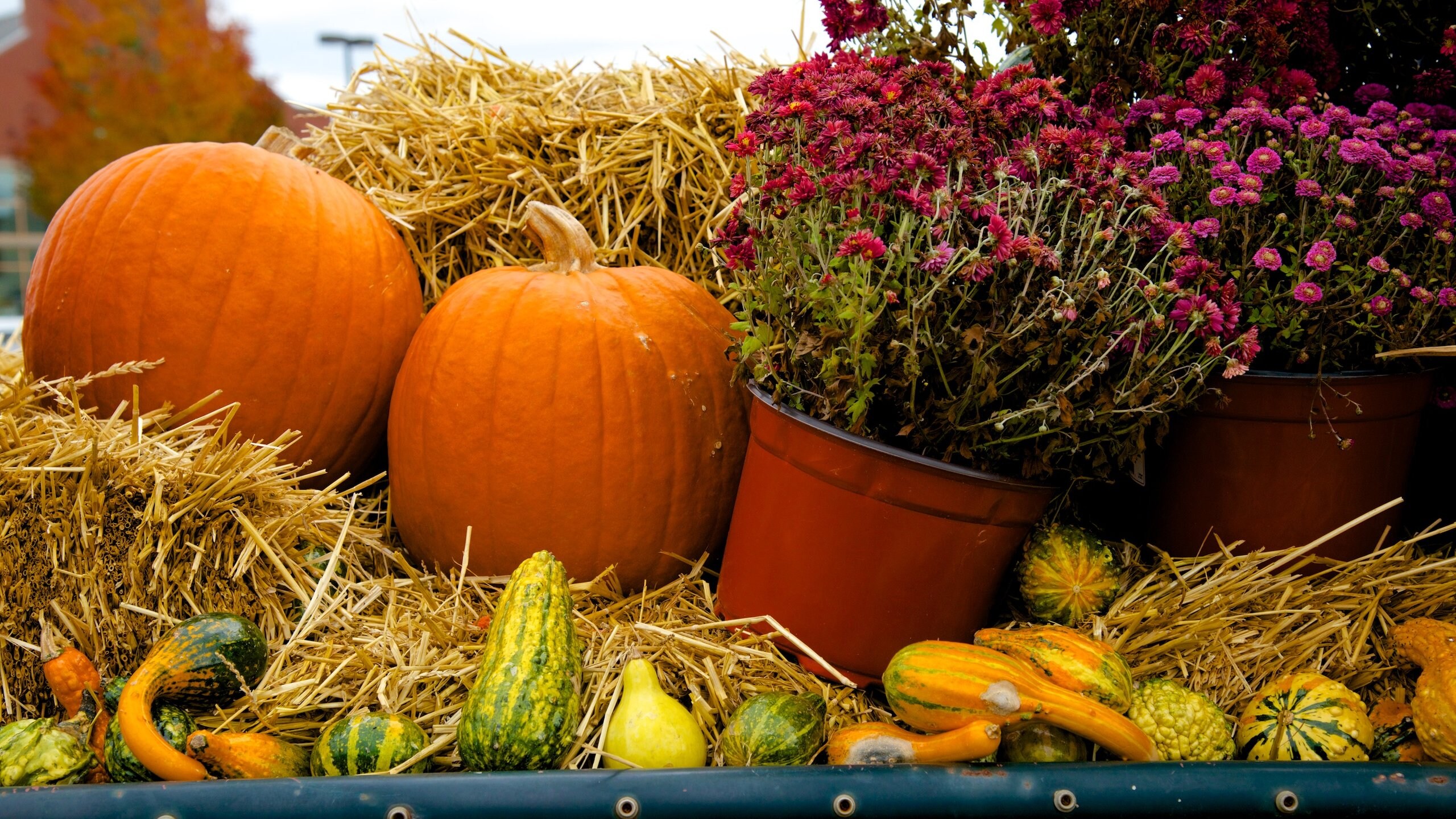 Visit DoverFoxcroft 2024 Travel Guide for DoverFoxcroft, Maine Expedia