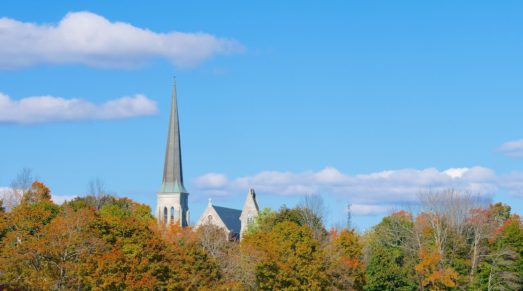 Augusta featuring autumn leaves