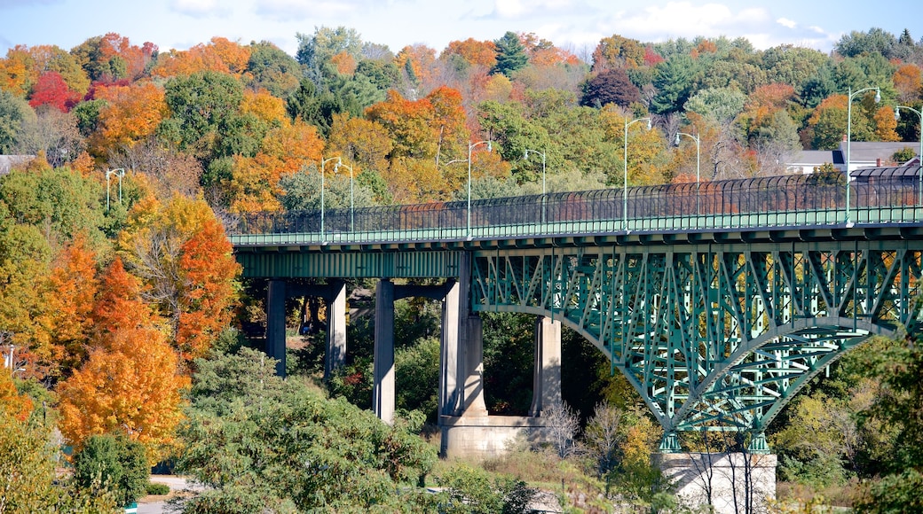 Augusta ofreciendo hojas de otoño y un puente