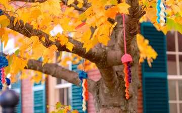 フリーポート観光ガイド 定番人気スポットを参考に自分にピッタリの観光プランを立てよう エクスペディア フリーポート観光ガイド 定番人気スポットを参考に自分にピッタリの観光プランを立てよう エクスペディア