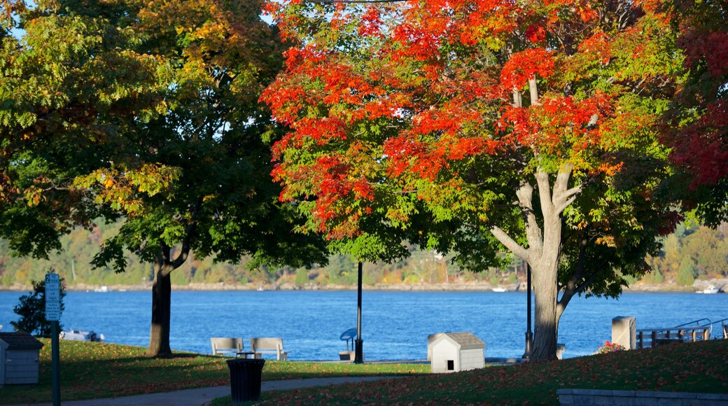 Bath que incluye un lago o abrevadero, los colores del otoño y un parque