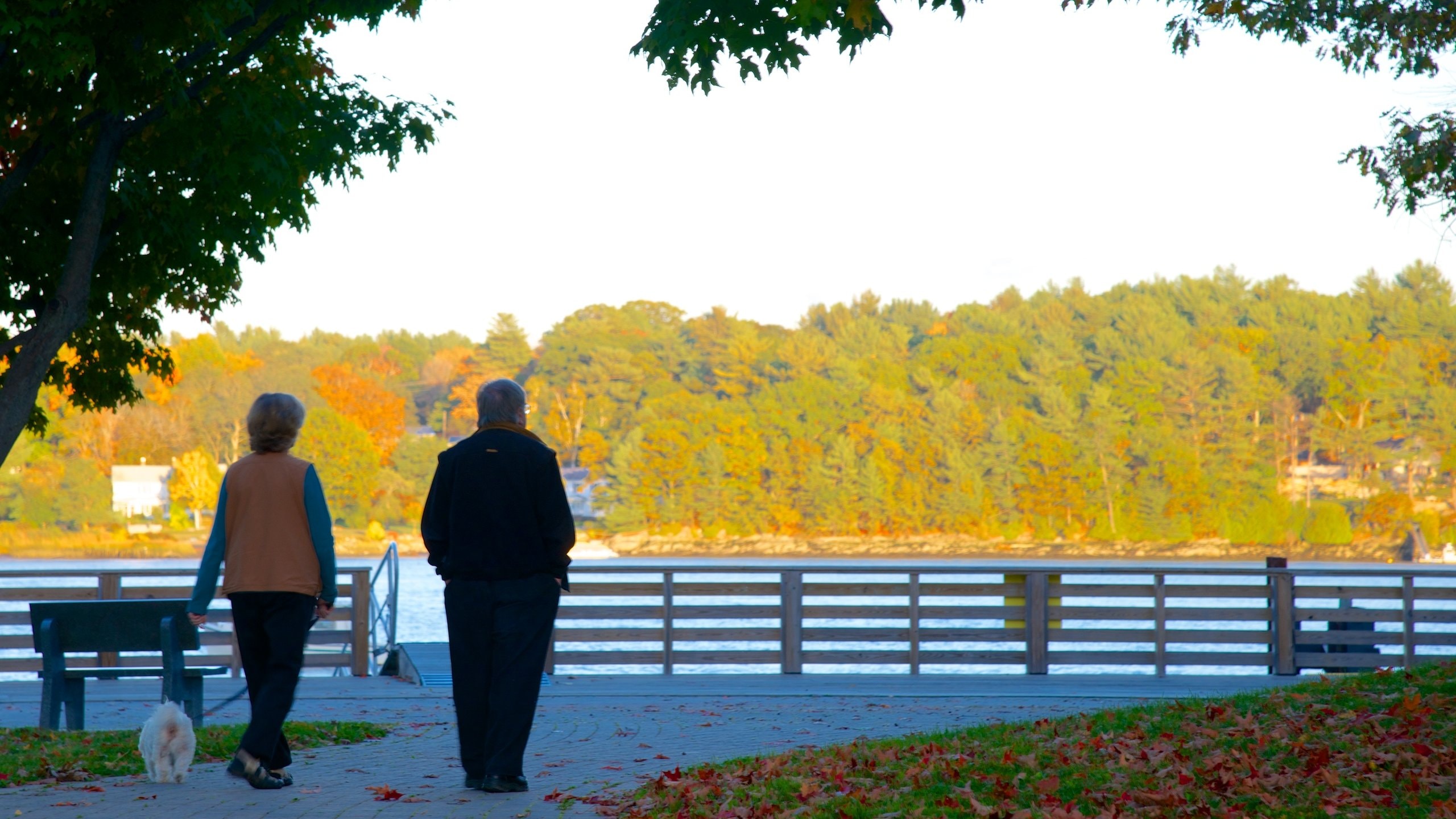 Top 20 Bath, ME bed & breakfast rentals Vrbo