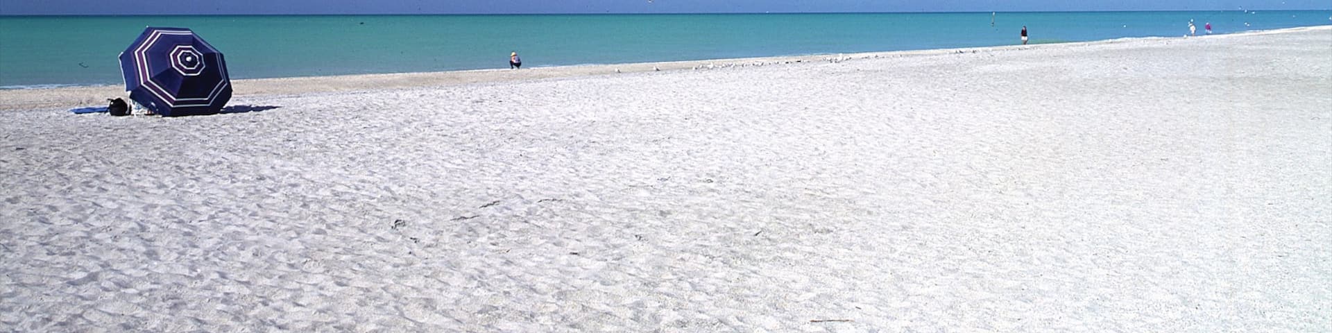 Englewood Beach showing a beach
