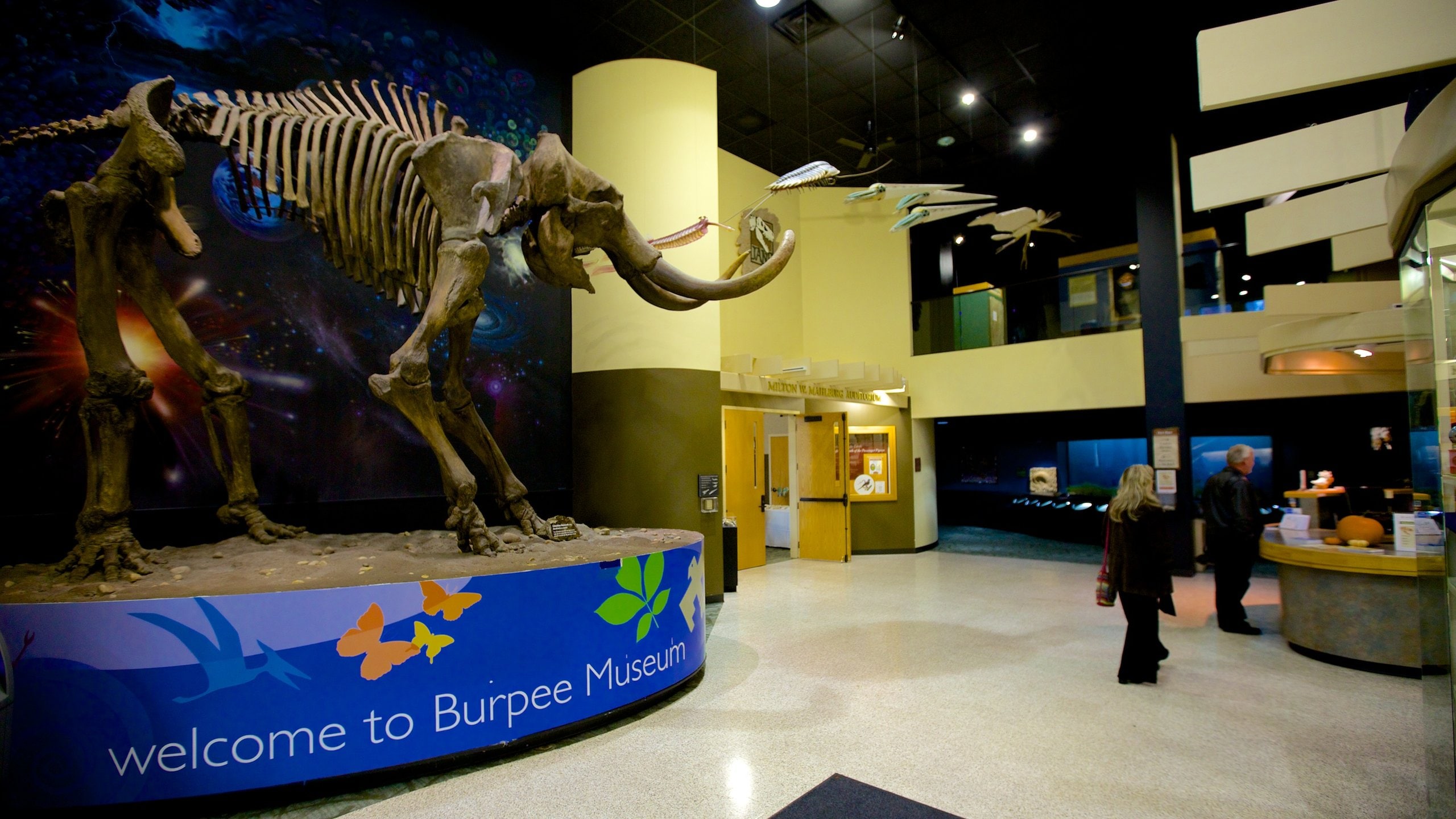Burpee museum wedding | Honestweddingadvice.com