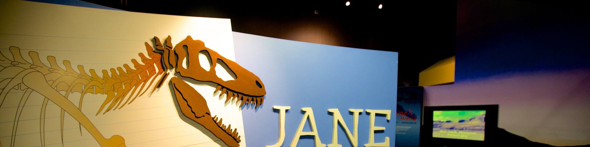 Burpee Museum of Natural History featuring interior views