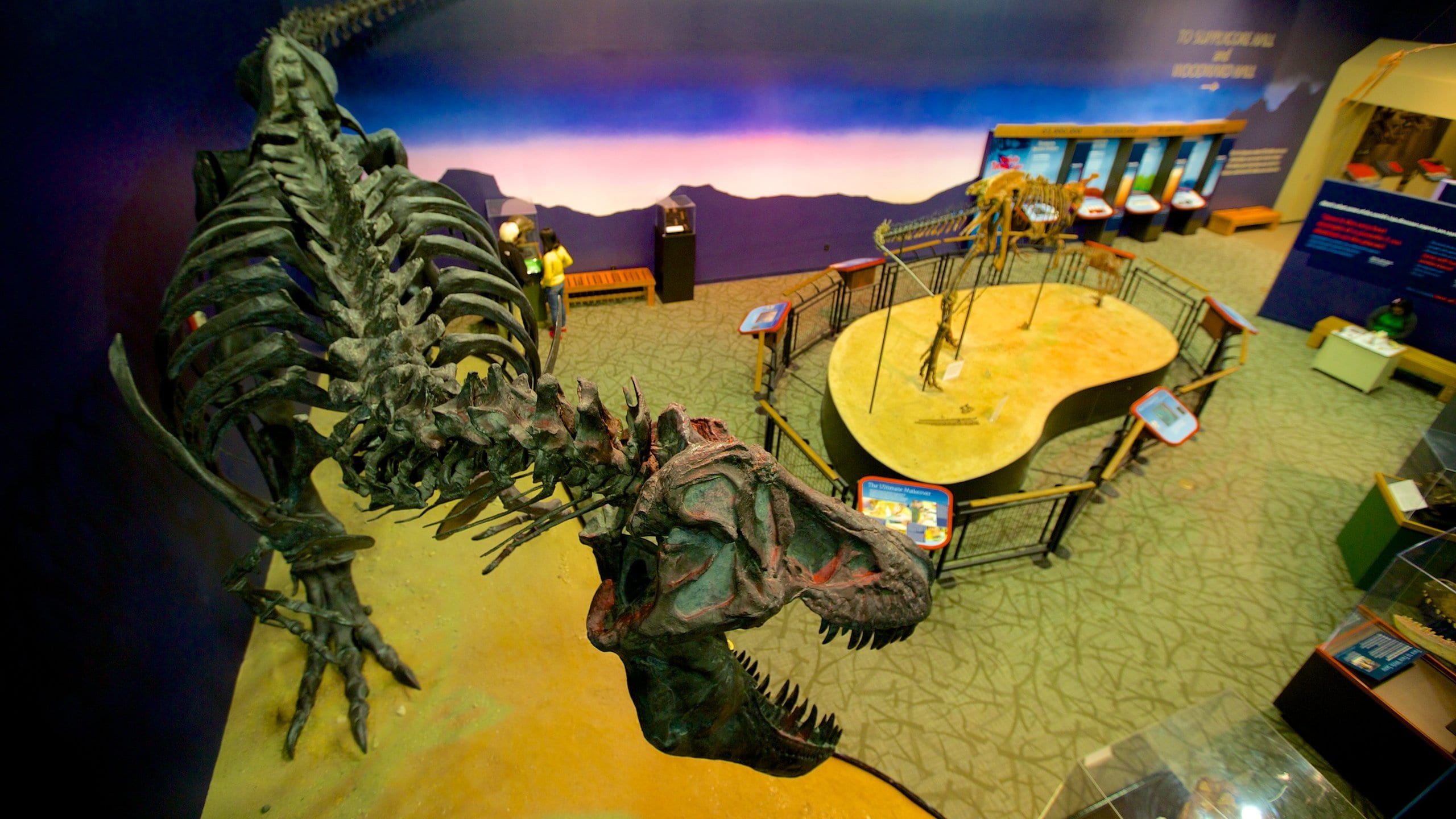 Burpee Museum of Natural History in Rockford Expedia.ca