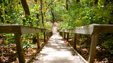 Black Hawk State Historic Site qui includes paysages paisibles