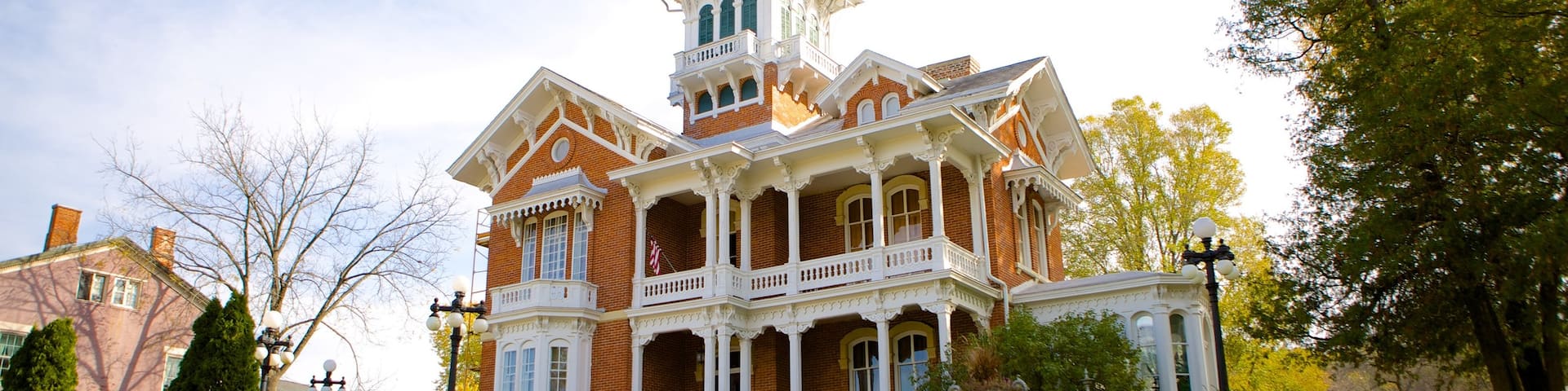 Galena featuring a house, heritage elements and heritage architecture