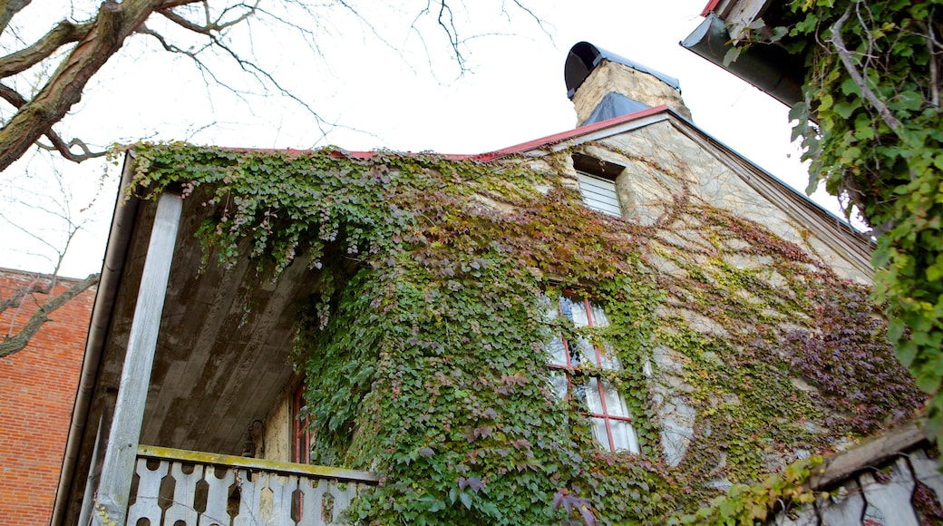 Galena que inclui elementos de patrimĂŽnio e uma casa