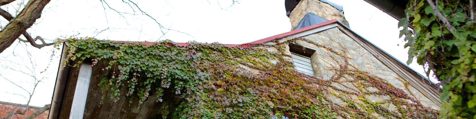 Galena mostrando una casa y elementos del patrimonio